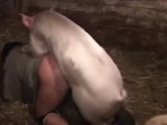 Big boar pervert filling a fucking pussy old barn slut